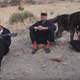 Matt Sweeney and Bonnie "Prince" Billy perform a <i>Superwolves</i> track for an audience of regular wolves